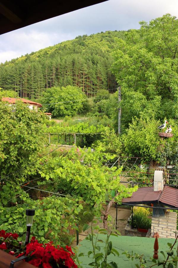 Green House - Попниколови サパレヴァ・バニャ エクステリア 写真